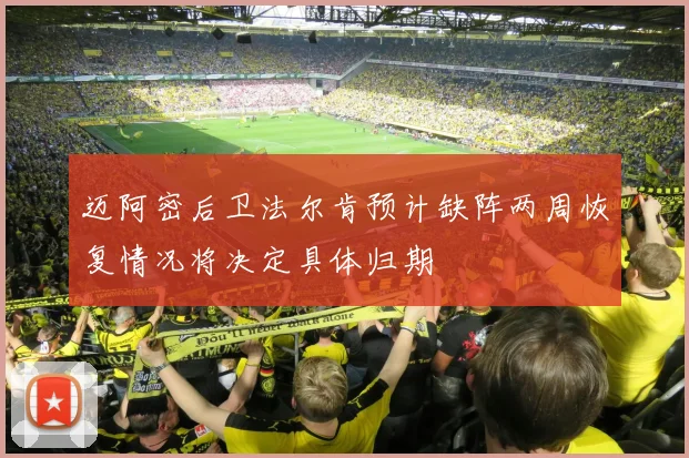 迈阿密后卫法尔肯预计缺阵两周恢复情况将决定具体归期