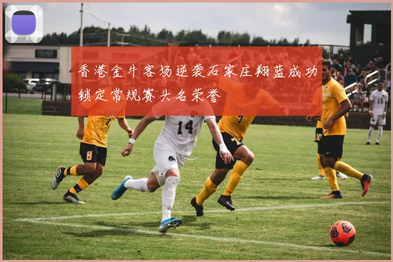 香港金牛客场逆袭石家庄翔蓝成功锁定常规赛头名荣誉