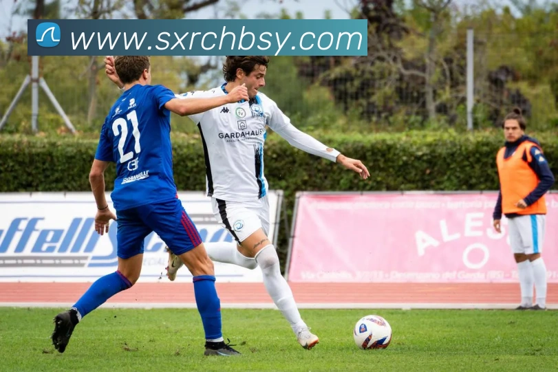 App Interface Preview