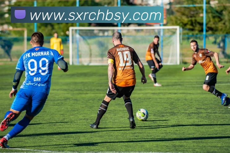 数据防护可视化