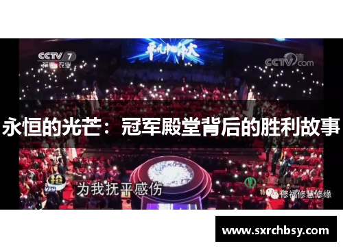 永恒的光芒：冠军殿堂背后的胜利故事