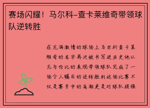 赛场闪耀！马尔科-查卡莱维奇带领球队逆转胜